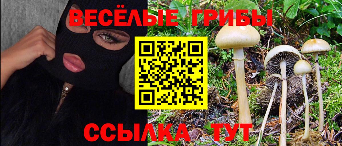 магазин продажи   Псилоцибиновые грибы Cubensis  Вход с VPN  Стрежевой 